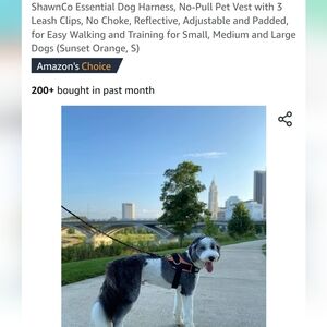 ShawnCo Essential Dog Harness no pull pet Vest with 3 Leach Clips  No Choke new